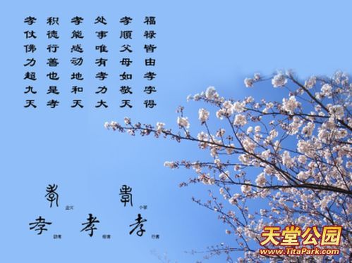 国学内容编入动漫教材,涉及百余部古代经典作